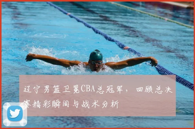 辽宁男篮卫冕CBA总冠军，回顾总决赛精彩瞬间与战术分析