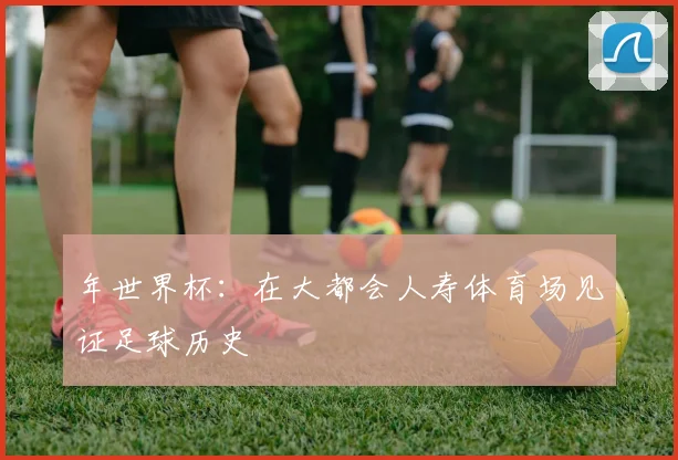 年世界杯:在大都会人寿体育场见证足球历史