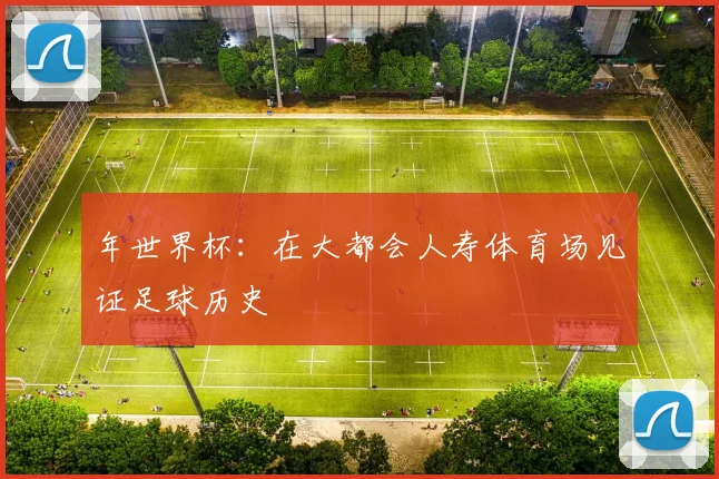 年世界杯：在大都会人寿体育场见证足球历史